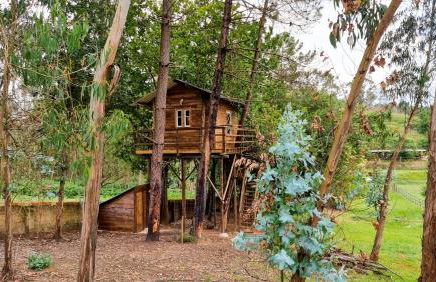 Vale da Silva Villas - Homes - Foto 17