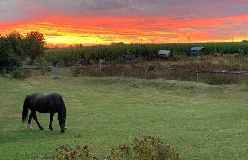 Ferienwohnung Schmidt - Foto 38
