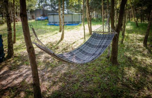 Niezapominajka - Foto 26