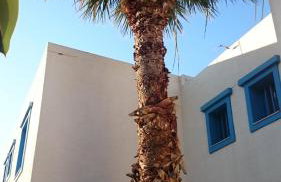 Amazones Villas Apartments - Foto 24