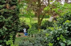 Ferienwohnung Fellnasen WG 2 - Foto 28