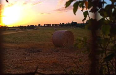 La nostra casetta - Foto 46