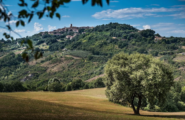 Tuscan Sun With Shared Pool - Foto 22