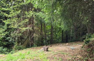 Dovetail Den - Tranquil with Hot Tub and Air Conditioning - Foto 22