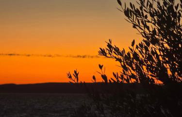 Apartmani Jakovinović - Photo 39