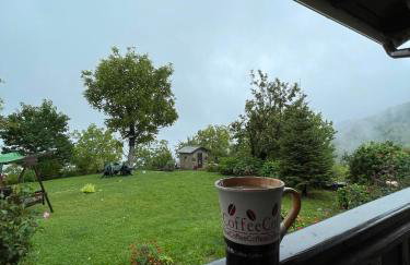 Παραδοσιακή πέτρινη κατοικία στην Βλάχα Ελάτης - Foto 17