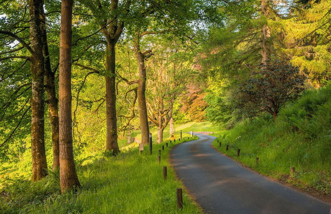 Blairquhan Cottages - Foto 72