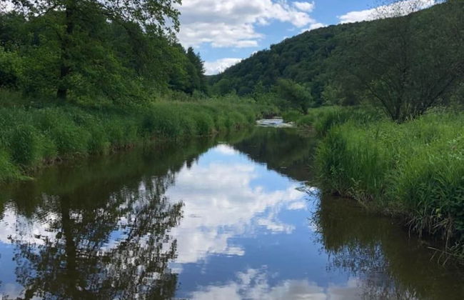 Spacious Holiday Home in Vresse-sur-semois With Terrace - Photo 37