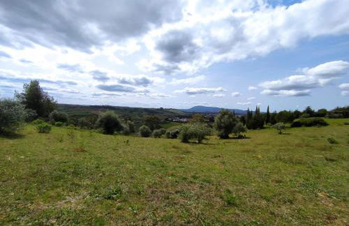 Herdade da Hera - Foto 39