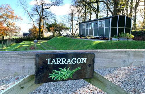 Tarragon - Uk36932 - Foto 1