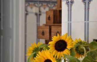 Casa del Sol - Foto 14