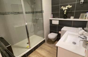 Studio-Champagne Lanson-Proche Hôpitaux-Universités-Parc Léo Lagrange - Foto 20