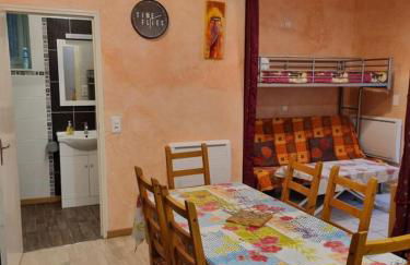 Appartement de plain pied , jardin et grande terrasse - Foto 5