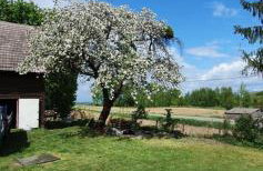 Mazurska przystań - Foto 19