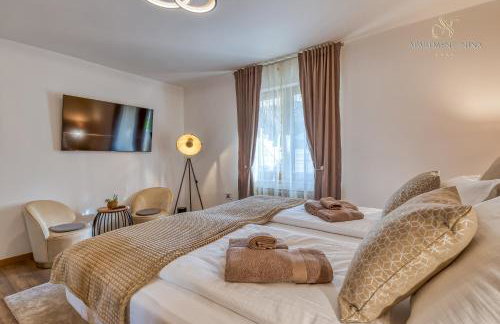 Apartment Nina Pazin - Photo 3