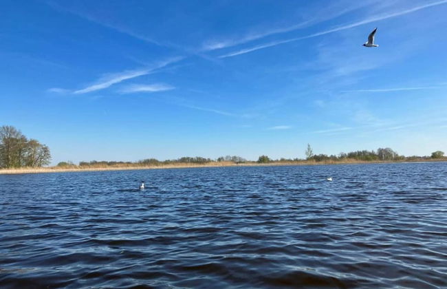 Stylish Thatched Villa with 2 Bathrooms near Giethoorn - Photo 32