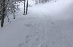 Casa Dalja - Foto 51