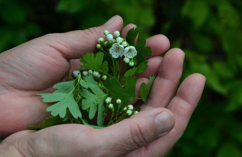 Casale Dionisia, Santa Maria di Castellabate - Foto 70