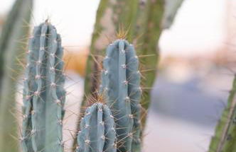 Next Getaway Home-3 Rooms, 4 Bed, 2 Bath, Backyard - Photo 55