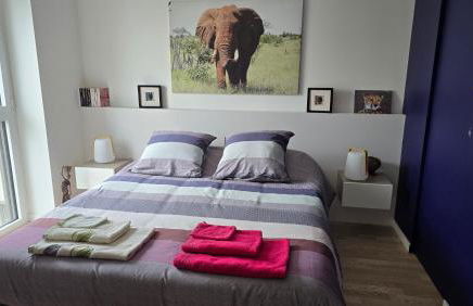 Vue exeptionnelle sur Nantes - Foto 8