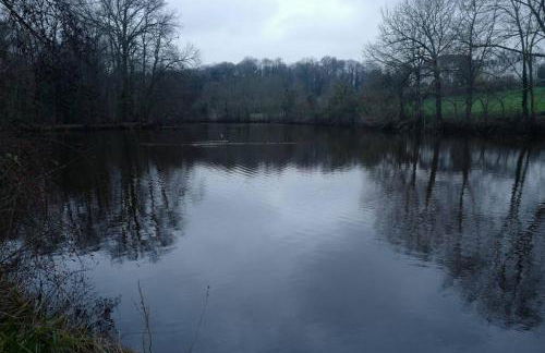 Maison avec jardin au calme proche de paris (30mn) - Foto 8