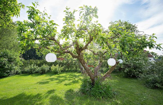 Trädgårdshuset i Sankt Olof - Foto 49