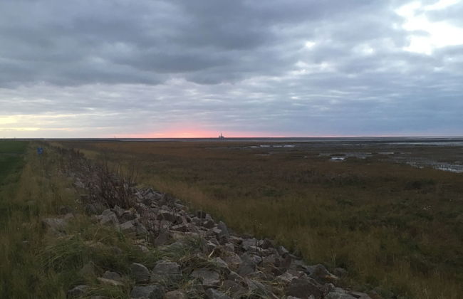 Landhaus Nordsee-Peerhuus - Foto 76