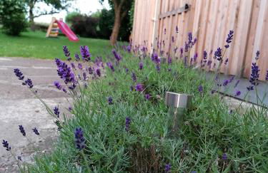 Ferienwohnung am Reinhardswald -Buchenzweig- - Foto 23