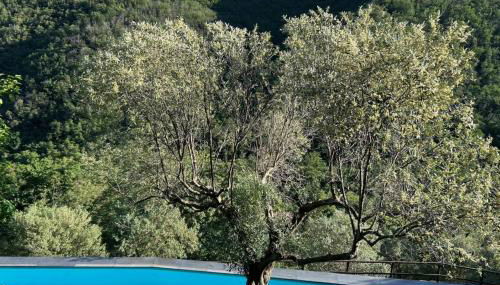 1 Bed Cottage Sleeps 4 Private Garden - Pool - Photo 3