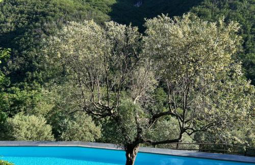 1 Bed Cottage Sleeps 4 Private Garden - Pool - Photo 3