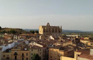 La Polaina - Foto 36