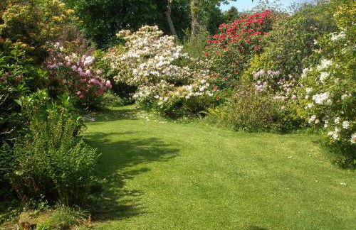 Garden Studio - Foto 15