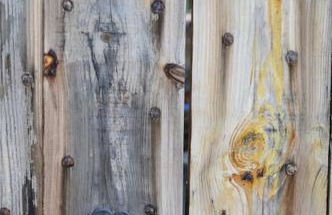 Maison de caractère à Saint-Nectaire le haut - Foto 30