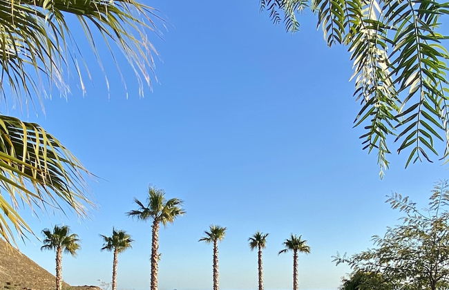 MONDRIAN Luxury Suites & Villas - Foto 61