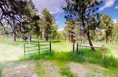 The Great Escape - Foto 22