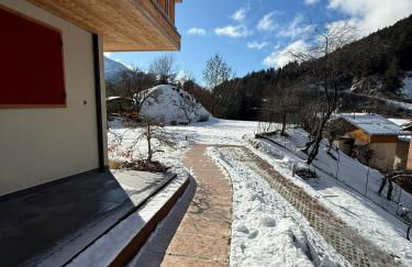 Bella di Bosco - Ai Meli - Dolomites - Photo 77