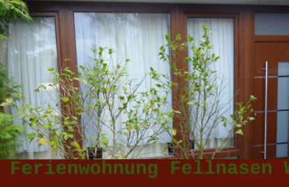 Ferienwohnung Fellnasen WG - Foto 26