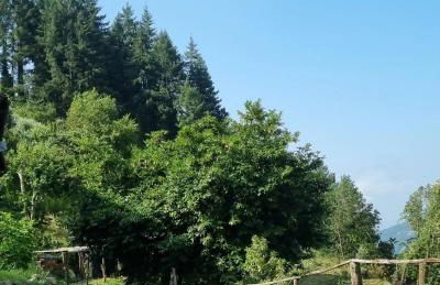 All ' ombra del lauro - Foto 17