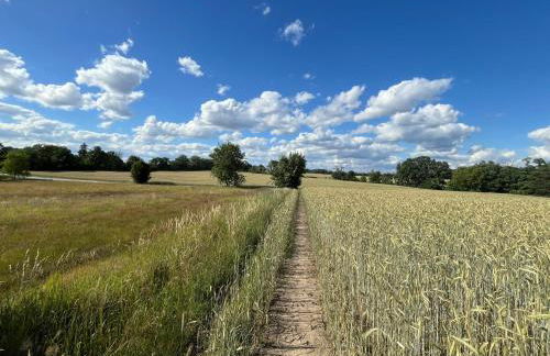 TOP-Ferienwohnung bei Berlin, bis 3 Gäste, Terrasse und Garten - Foto 23