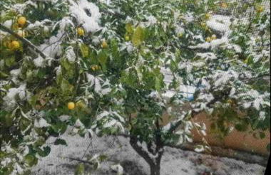 Fella Chalkida - Foto 45