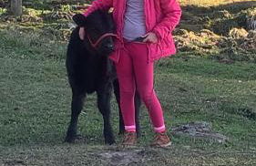 Cabana Recanto dos Aparados - Foto 22