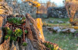 Quiet countryside house with a swimming pool - Foto 20