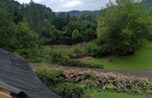 Dzikie południe - Foto 12