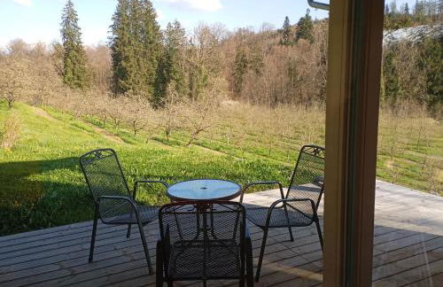 Ferienhaus nähe Bodensee - Foto 12