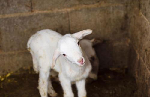 Aldea Los Odres - Cabañas de Madera de 1ª con Piscina Privada y BBQ en la puerta - Foto 30
