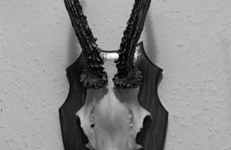 Titiseehnsucht - Gemütliche Wohnung mit Parkplatz - Foto 13