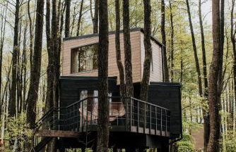 Dziki Las - domki na drzewach - Foto 2