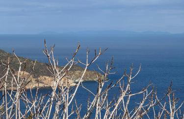 Papous house - Foto 7