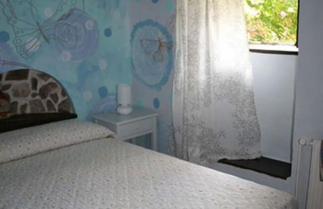 Agroturismo Amalau - Photo 5