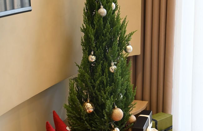 Onsen Landmark Luxury Apartments - Photo 46